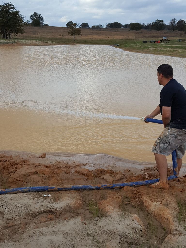 Getting ready to clear up 1/2 acre pond gypsum Pond Boss Forum
